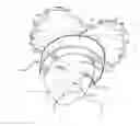 Fig. 01 - Absorbent Headband Device