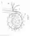 Fig. 08 - Cutting head for string trimmer