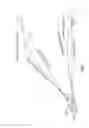 Fig. 02 - Rangefinders for inclined shooting of projectile weapons