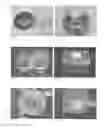 Fig. 02 - METHOD IN COMMERCIAL MUSHROOM HARVESTING