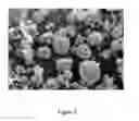 Fig. 09 - Magnetic Glass Particles, Method for Their Preparation and Uses Thereof