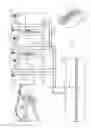 Fig. 02 - Fuel dispensing nozzle