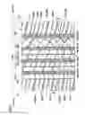 Fig. 02 - Pneumatic tire with tread having sipes