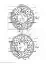 Fig. 02 - TENSION-BASED NON-PNEUMATIC TIRE