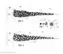 Fig. 02 - High permeability frac proppant