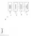 Fig. 07 - Hydrocarbon cracking antenna