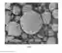 Fig. 02 - Polymer composite, water-treatment method using the same and manufacturing method of the same