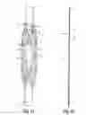 Fig. 02 - PAD FOR SHOULDER STRAP