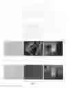 Fig. 22 - Phosphorescent organic compounds