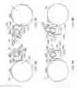 Fig. 07 - Nip separator device for a roll assembly
