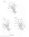 Fig. 49 - STATOR AND ROTOR-STATOR STRUCTURES FOR ELECTRODYNAMIC MACHINES