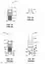Fig. 02 - Pre-chamber spark plug including a gas thread cavity