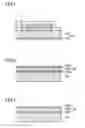 Fig. 02 - Moisture-proof film, method for manufacturing the same, and organic electronic device including the same