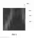 Fig. 06 - Method and apparatus for performing diffusion spectrum imaging