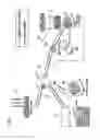 Fig. 02 - CHARGING/DISCHARGING DETERMINATION APPARATUS AND COMPUTER-READABLE NON-TRANSITORY MEDIUM STORING CHARGING/DISCHARGING DETERMINATION PROGRAM