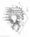 Fig. 02 - Multi-track detection system for detecting the appearance of electronic elements