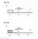 Fig. 06 - RF-ID TAG AND RF-ID COMMUNICATION SYSTEM