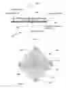 Fig. 04 - Planar broadband traveling-wave beam-scan array antennas