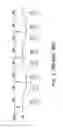 Fig. 06 - GATE DRIVER OF DUAL-GATE DISPLAY AND FRAME CONTROL METHOD THEREOF