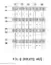 Fig. 07 - GATE DRIVER OF DUAL-GATE DISPLAY AND FRAME CONTROL METHOD THEREOF