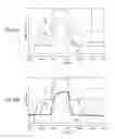Fig. 12 - Scanning signal line drive circuit and display device including the same
