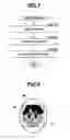 Fig. 08 - Image display method, server, and image display system