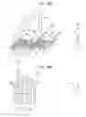 Fig. 19 - Displaying a sequence of images and associated character information