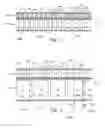 Fig. 08 - Non-homogeneous objects magnification and reduction