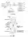 Fig. 44 - Selective hand occlusion over virtual projections onto physical surfaces using skeletal tracking