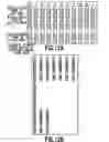 Fig. 13 - Inkjet printing apparatus and inkjet printing method