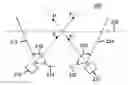Fig. 01 - IMAGE PAIR PROCESSING