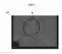 Fig. 08 - Apparatus for inspecting light emitting diode and inspecting method using said apparatus