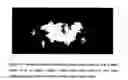 Fig. 03 - Method consisting of pulsing a laser communicating with a gated-sensor so as to reduce speckle, reduce scintillation, improve laser beam uniformity and improve eye safety in laser range gated imagery