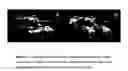 Fig. 04 - Method consisting of pulsing a laser communicating with a gated-sensor so as to reduce speckle, reduce scintillation, improve laser beam uniformity and improve eye safety in laser range gated imagery