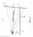 Fig. 10 - Method and apparatus for digital video latency reduction by real-time warping