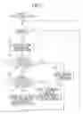 Fig. 06 - VEHICLE PERIPHERAL IMAGE DISPLAY SYSTEM