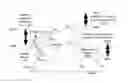 Fig. 01 - DYNAMIC IMAGE STABILIZATION FOR MOBILE/PORTABLE ELECTRONIC DEVICES