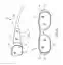 Fig. 02 - SIDE SHIELD CONNECTION OF SAFETY GLASSES