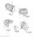 Fig. 02 - Lighting device for a motor vehicle with light guide elements