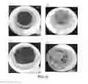 Fig. 08 - DOUGH TARGETING FOR ENHANCED MICROWAVE REHEATING