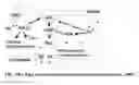 Fig. 22 - REAL TIME MULTIPOINT ASSAY FOR OPTIMIZING PERFORMANCE