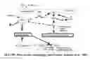 Fig. 23 - REAL TIME MULTIPOINT ASSAY FOR OPTIMIZING PERFORMANCE