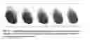 Fig. 26 - REAL TIME MULTIPOINT ASSAY FOR OPTIMIZING PERFORMANCE