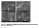 Fig. 27 - REAL TIME MULTIPOINT ASSAY FOR OPTIMIZING PERFORMANCE
