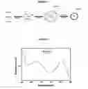 Fig. 02 - Fluorescent nanoparticle composites themselves, process for the preparation of such composites, and use in rapid diagnosis systems with affinity to biological molecules