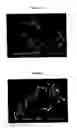 Fig. 03 - Fluorescent nanoparticle composites themselves, process for the preparation of such composites, and use in rapid diagnosis systems with affinity to biological molecules