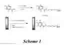 Fig. 25 - Device and method for extraction and analysis of nucleic acids from biological samples