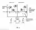 Fig. 07 - METHOD OF DETECTING AN ANALYTE IN A SAMPLE USING SEMICONDUCTOR NANOCRYSTALS AS A DETECTABLE LABEL
