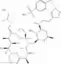 Fig. 320 - Macrocyclic compounds and methods of making and using the same