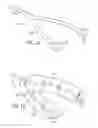 Fig. 08 - Y-shaped ear sensor with strain relief